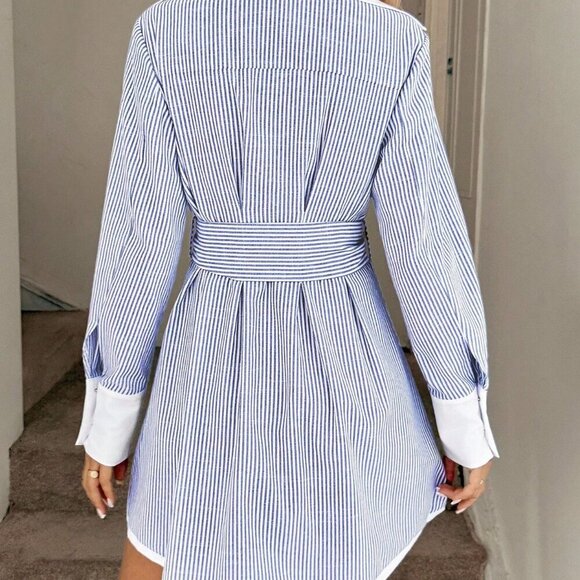 Blue And White Casual Women's Color Block Lantern Sleeve A-Line Dress - Picture 2 of 8